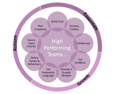 High Performance Teams - fact or fantasy?
