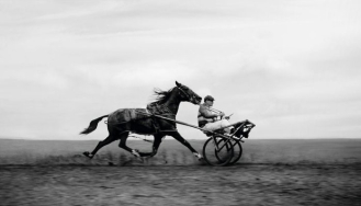 The Secret to Successful ERP Implementations is Not Putting the Cart Before the Horse