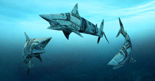 In The Shark Tank It's All About Valuation