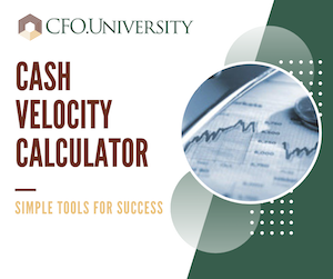 Cash Velocity Calculator